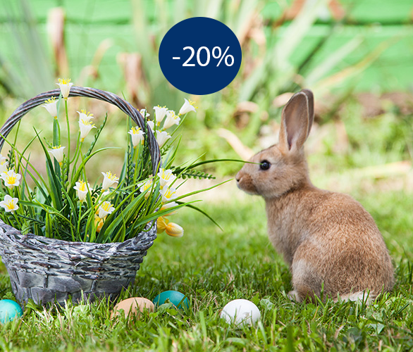 Osterangebot: Korb mit Frühlingsblumen, bunte Eier und ein Hase auf der Wiese