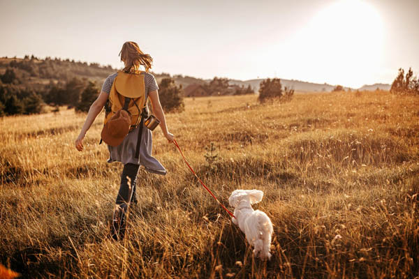Frau mit Rucksack wandert über eine Wiese, mit einem kleinen Hund an der Leine