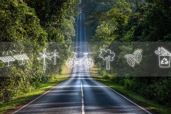 Strasse umgeben von einem Wald, nachhaltiges Reisen