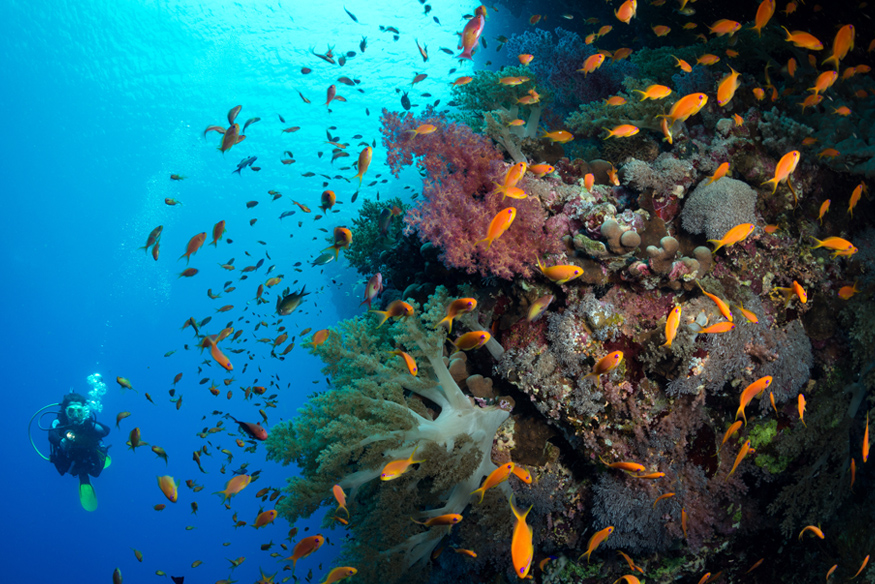 Tauchspot Blue Hole Dahab in Ägypten