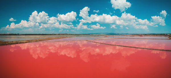 Der pinke Salzwassersee Atanassow in Bulgarien