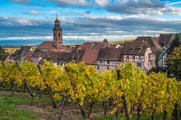 Die elsässische Weinstraße in Frankreich - Weinberge