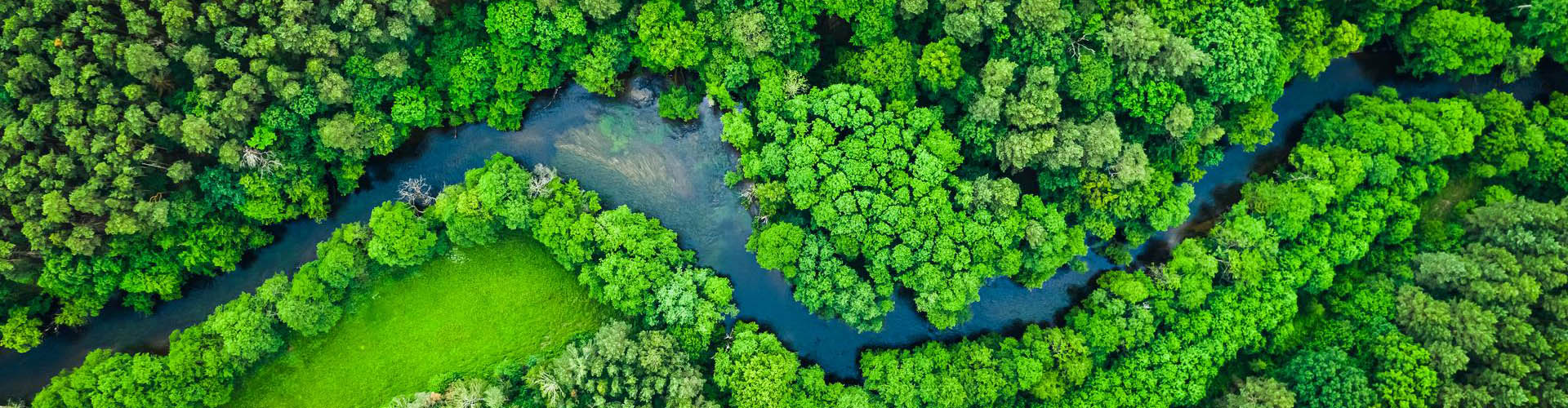 Grüner Wald, mit Fluss, Aufnahme von oben