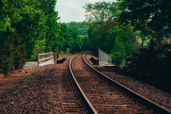 Bahngleise, umgeben von Wald, Brücke