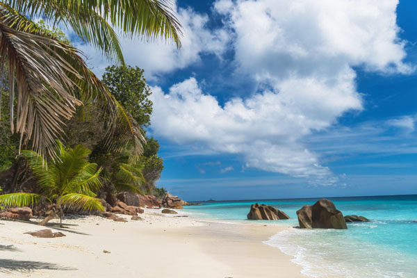 Sandstrand mit türkisblauem Wasser und Palmen, Anse Source d'Argent, Seyschellen