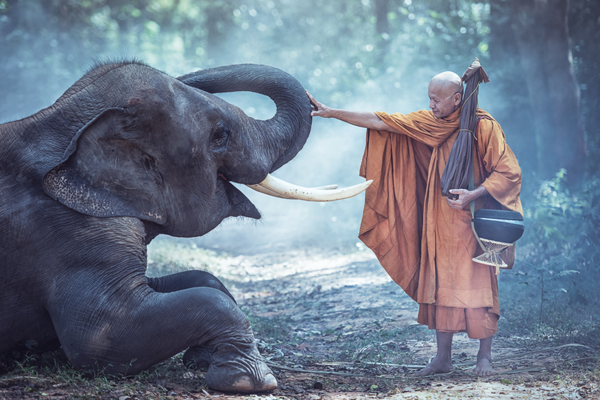 Thailändischer Mönch mit einem Elefanten