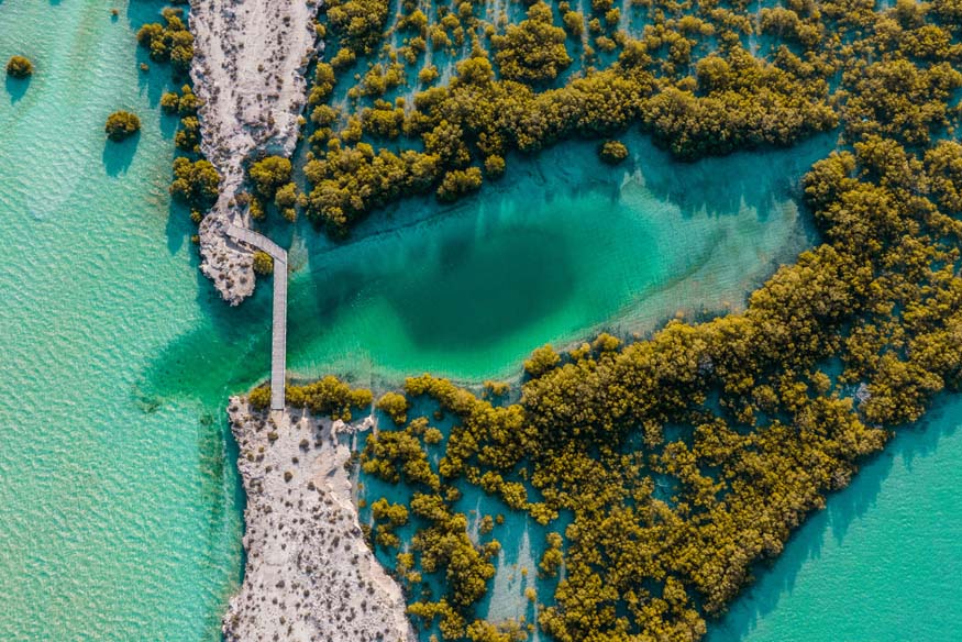 Luftaufnahme vom Mangrove National Park in Abu Dhabi
