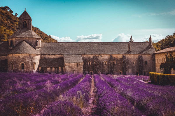 Romantisches Haus in der französischen Provence mit einem blühenden Lavendelfeld