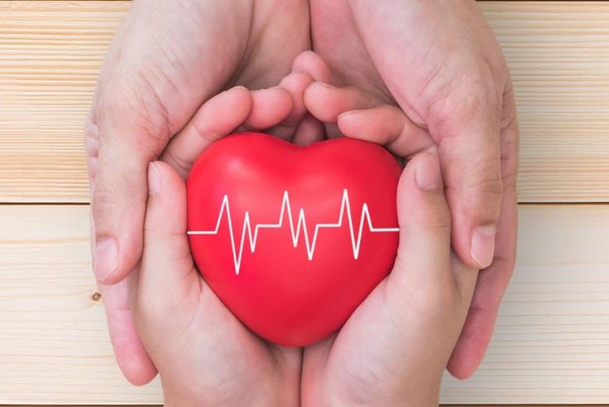 Hände halten ein rotes Herz