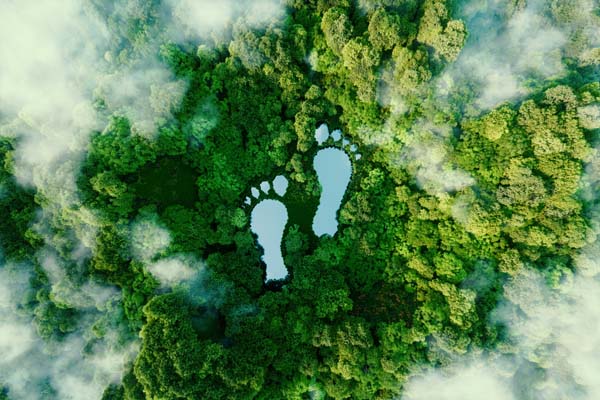 Grüner Wald, fotografiert von oben, weiße Fußabdrücke