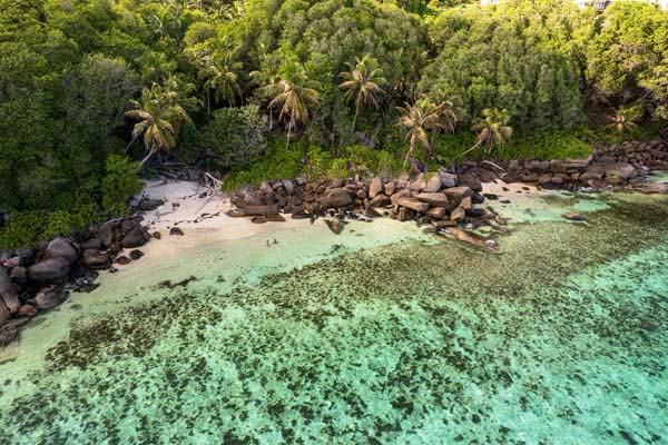 Versteckter Strand mit türkisblauem Wasser und vielen grünen Palmen, Seyschellen