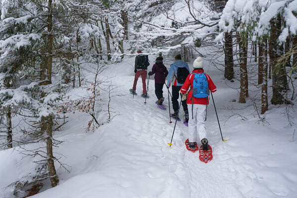 Gruppe von Menschen macht eine Schneeschuhwanderung durch den Wald