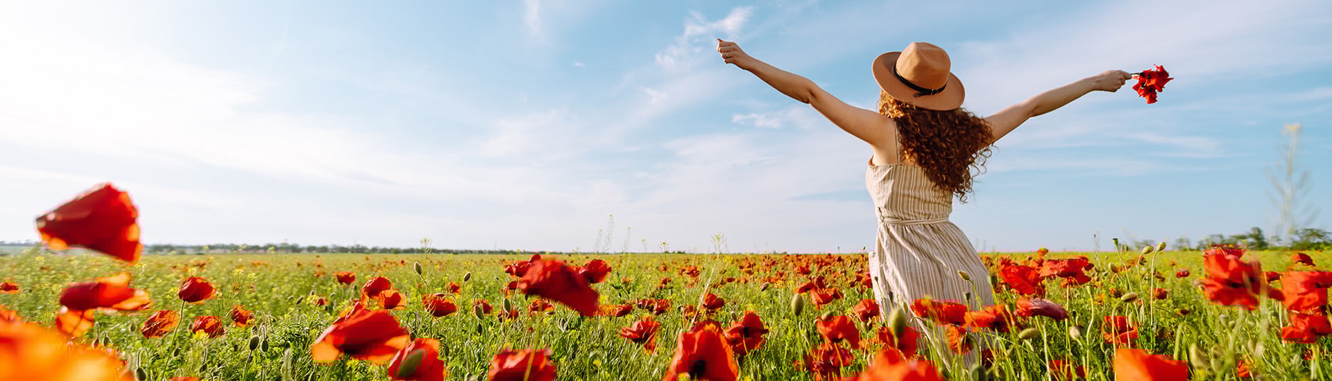 Rückenansicht einer jungen Frau mit Hut, die in einem Feld blühender roter Mohnblumen den Frühling genießt